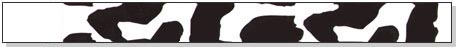 Cow Design Wristbands