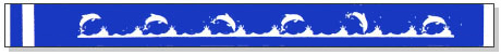 Dolphin Wristbands