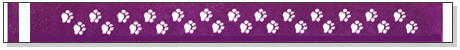 Paw Prints Wristbands