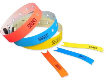 Plastic SecureBand Wristband